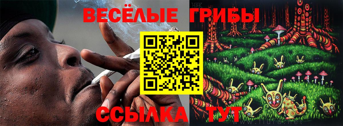 Псилоцибиновые грибы Magic Shrooms Бердск