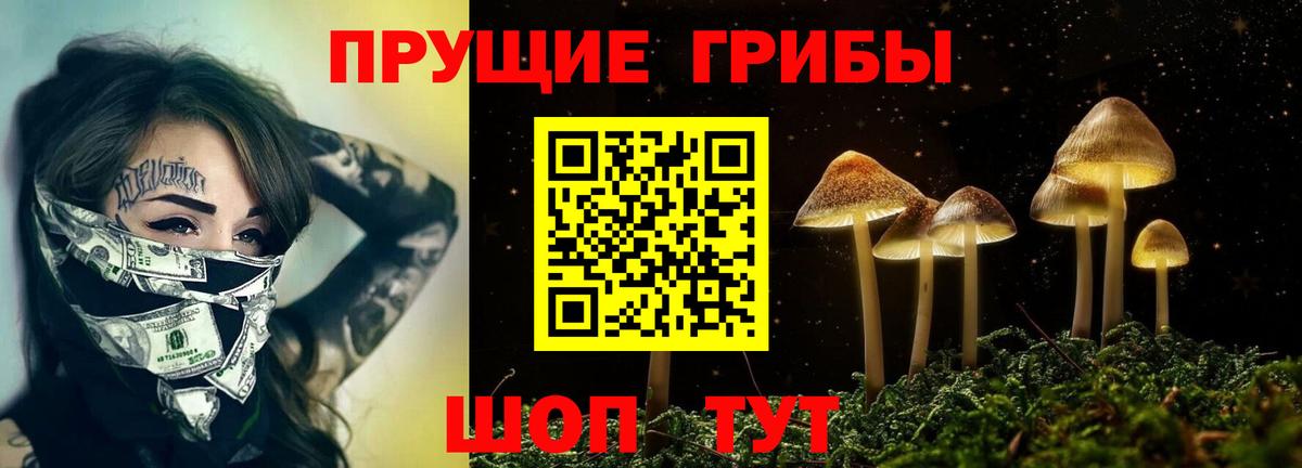 Псилоцибиновые грибы ЛСД  закладка  Бердск  Вход с VPN 
